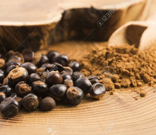 Guarana – kofein skrytý v červených plodech