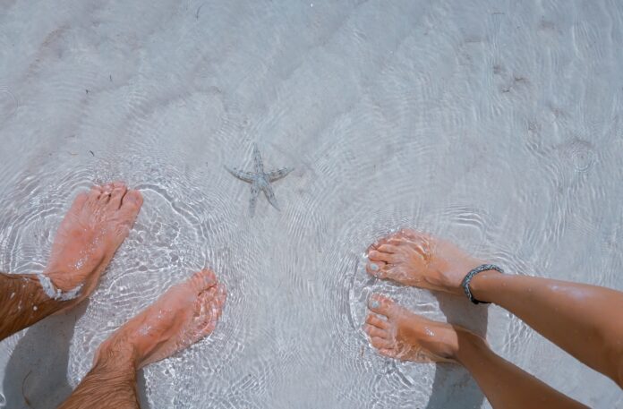stocksnap-sea-2564085